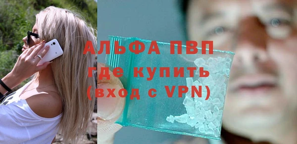 индика Волоколамск