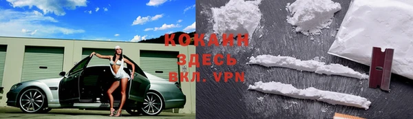 индика Волоколамск