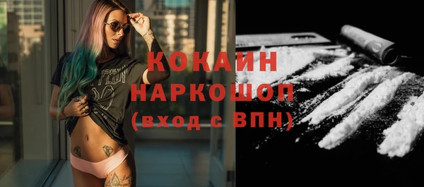 индика Волоколамск