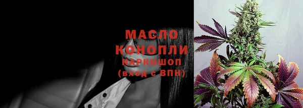 индика Волоколамск
