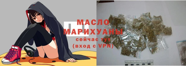 индика Волоколамск