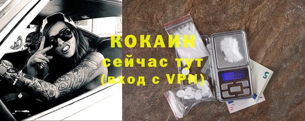 индика Волоколамск