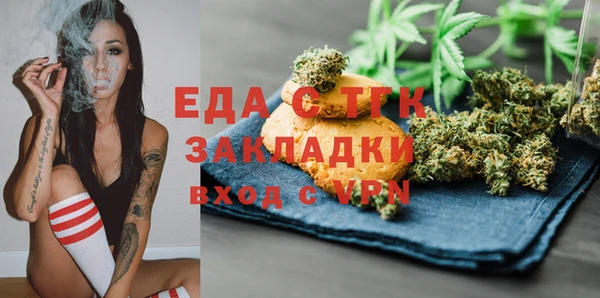 индика Волоколамск