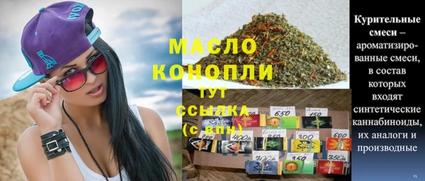 индика Волоколамск